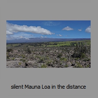 silent Mauna Loa in the distance